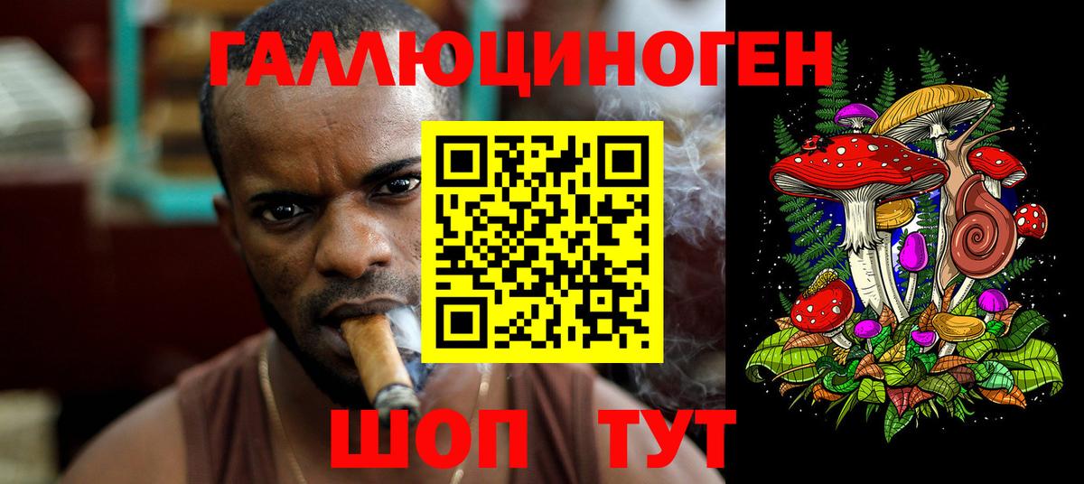 Галлюциногенные грибы ЛСД  Вход с VPN  Галлюциногенные грибы MAGIC MUSHROOMS  закладки  Сунжа 